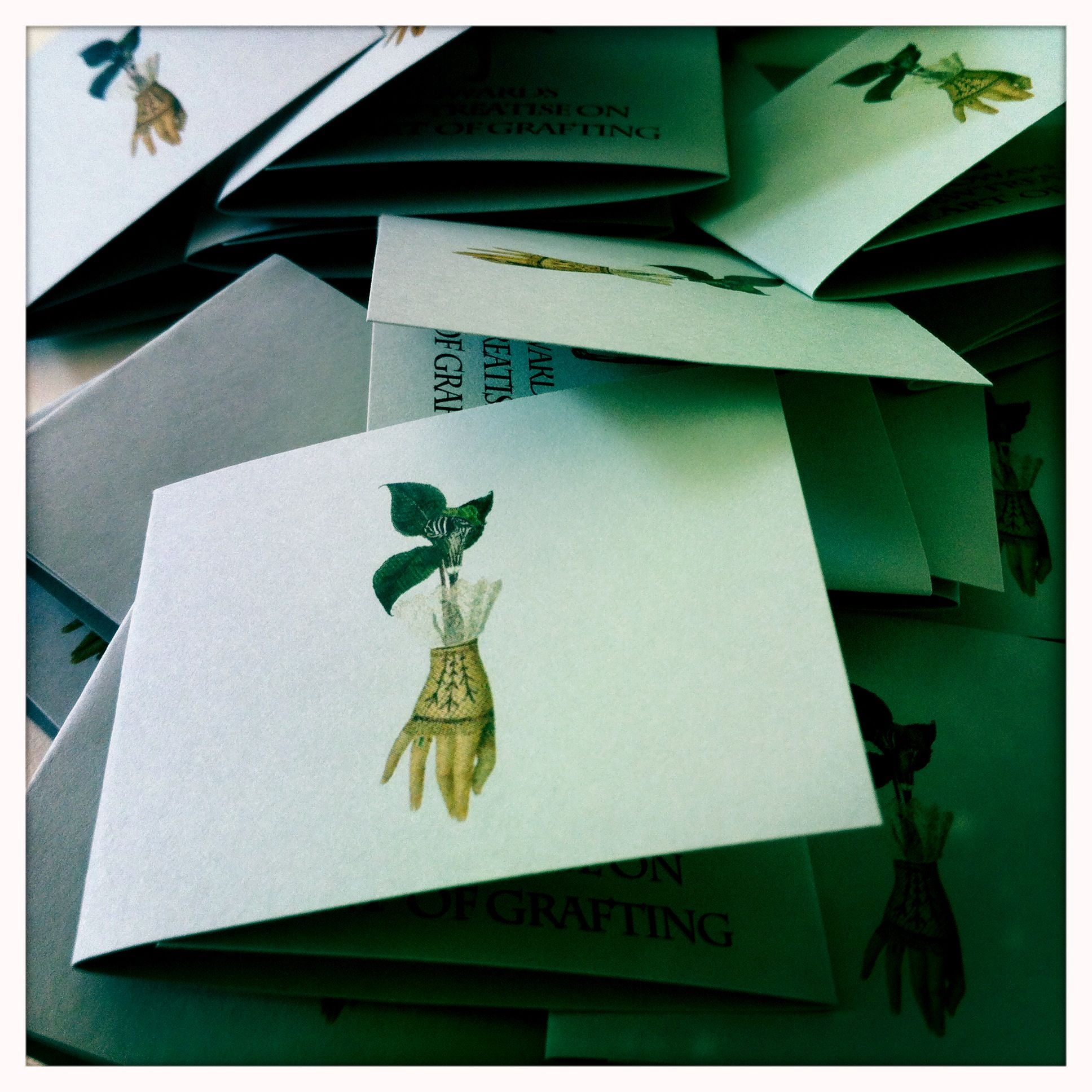 The Plantarum: Empathic Limb Clinic for Proximity Festival, PICA, Perth 2013. Image Cat Jones