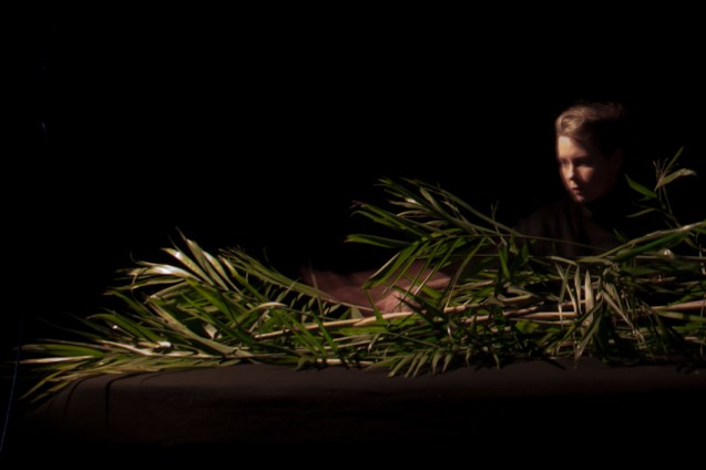 Somatic Drifts v1.0, Adhocracy, Vitalstatistix. Image by Cat Jones 2014