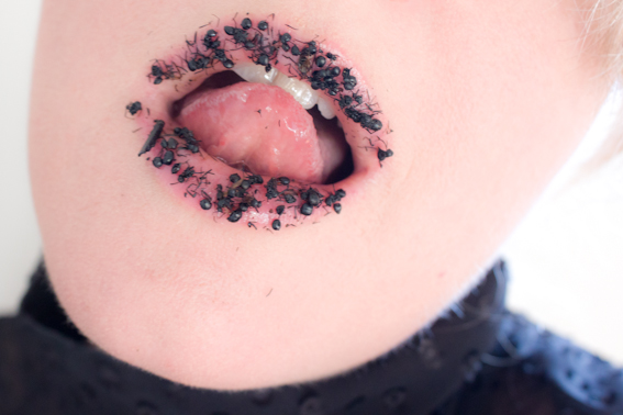 Insecta Delecta. Image by Cat Jones 2017.