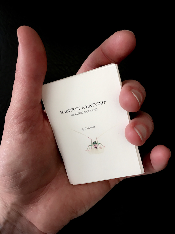 Habits of a Katydid Zine by Cat Jones 2018