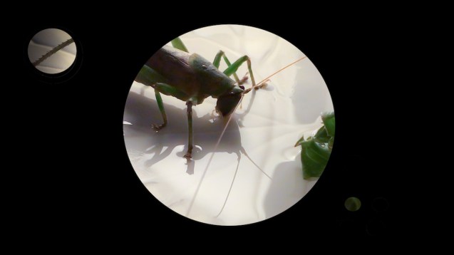 olufsen IMG_3014 poster2 edit